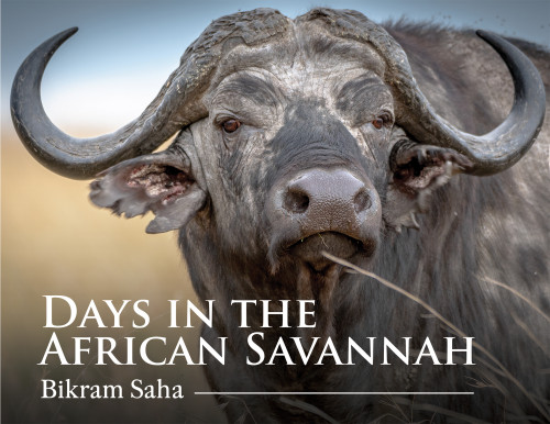 Days in the African Savannah